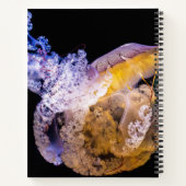 Cahier à spirale 21,59 cm x 27,94 cm (Dos)