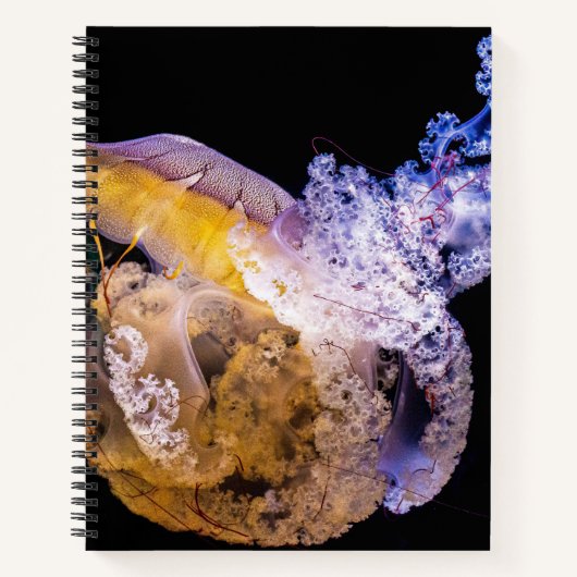 Cahier à spirale 21,59 cm x 27,94 cm (Devant)