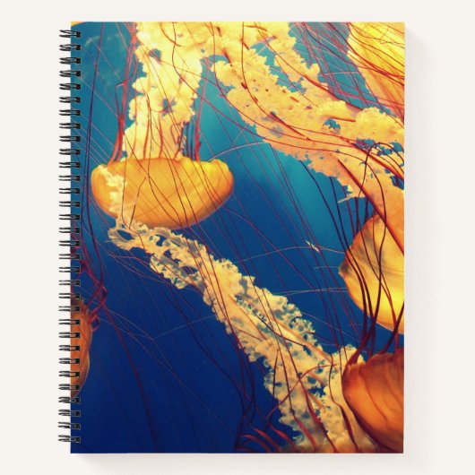 Cahier à spirale 21,59 cm x 27,94 cm (Devant)