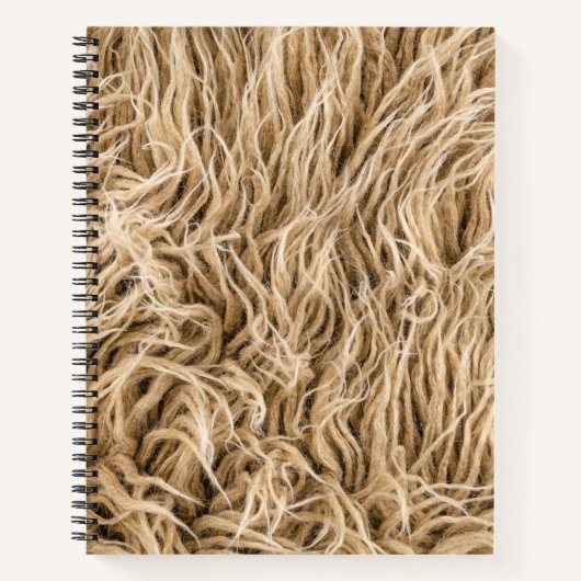 Cahier à spirale 21,59 cm x 27,94 cm (Devant)
