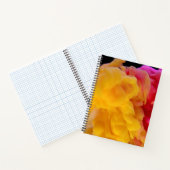 Cahier à spirale 21,59 x 27,94 cm (Intérieur)