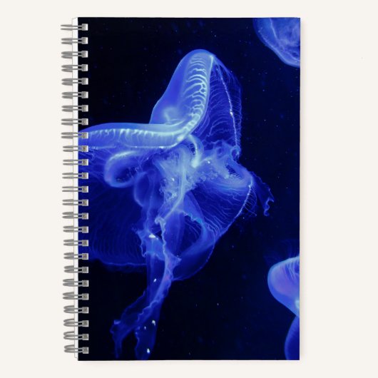 Cahier à spirale 5,5" x 8,5" (Recto)