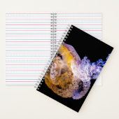 Cahier à spirale 5,5" x 8,5" (À l'intérieur)