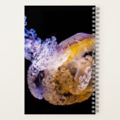 Cahier à spirale 5,5" x 8,5" (Verso)