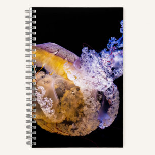 Cahier à spirale 5,5" x 8,5"