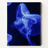 Cahier à spirale 8,5" x 11" (Dos)