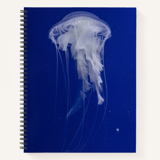 Cahier à spirale 8,5" x 11" (Devant)