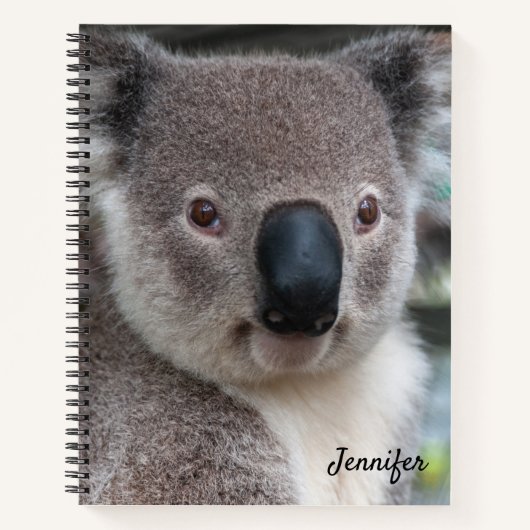 Cahier à spirale avec un ours koala mignon (Devant)