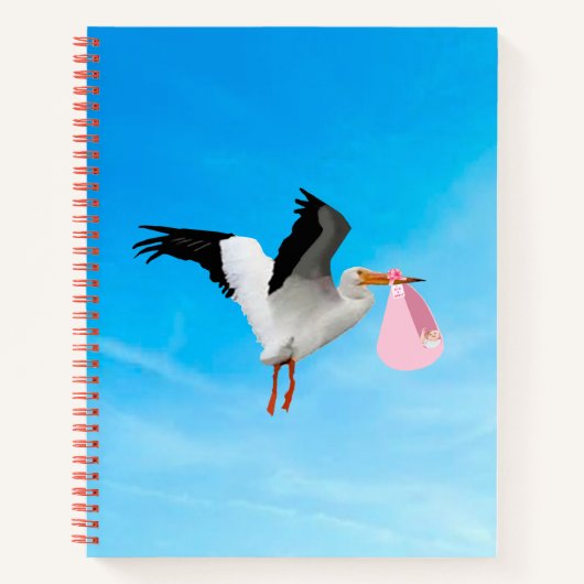 Cahier à spirale C'est une fille (Devant)