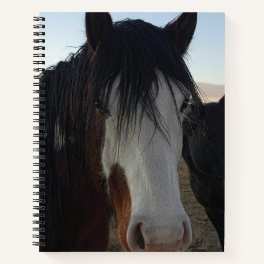Cahier à spirale Cheveux dans les yeux (Devant)