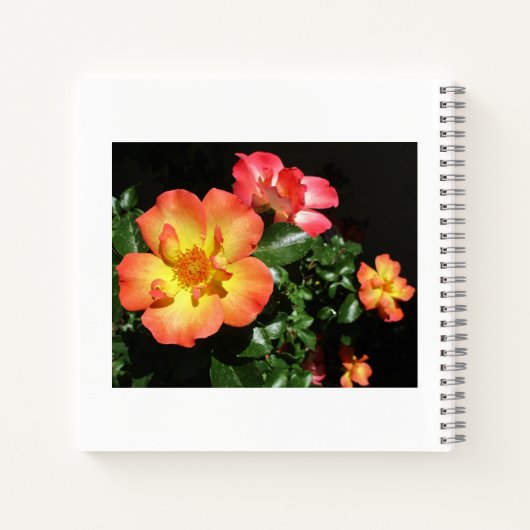Cahier à spirale Dark Aspect - Roses orange vif (Dos)