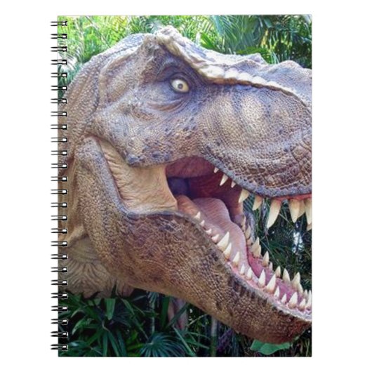 Cahier à spirale dinosaure (Devant)