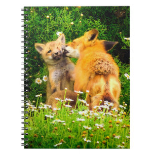 Cahier à spirale Faons de renard roux Journal de
