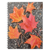 Cahier à spirale Feuilles d'érable d'automne (Devant)