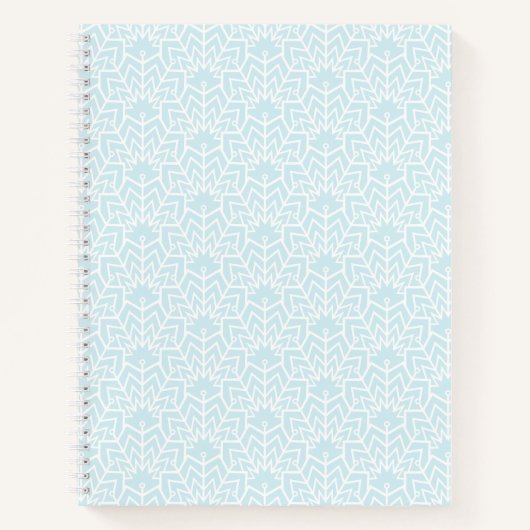 Cahier à spirale Glaces en arches (Devant)