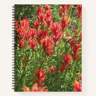 Cahier à spirale Paintbrush
