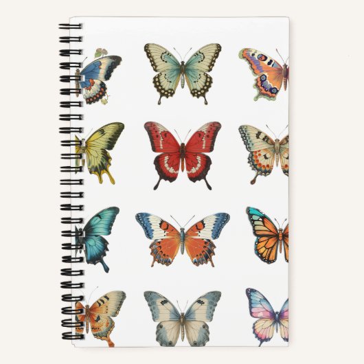 Cahier à spirale papillon coloré (Recto)