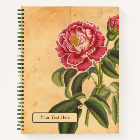 Cahier à spirale Rose de Provence (Devant)