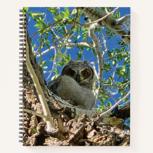Cahier à spirale sous surveillance (Devant)