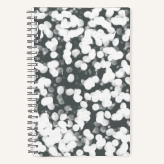 Cahier à spirale tempête de neige (Recto)