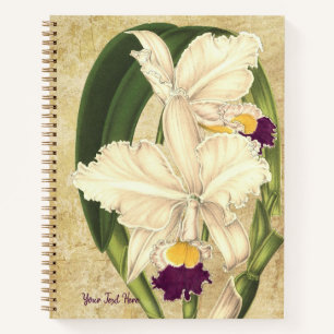 Cahier à spirales Cattleya quadricolor