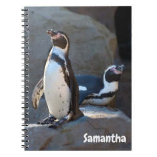 Cahier à spirales Manchots de Humboldt