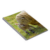 Cahier Agneau Bébé (Côté Droit)