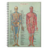 Cahier - Anatomie (Devant)