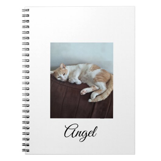 Cahier Ange le Chat Sassy (Devant)