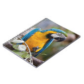 Cahier Ara Macao Bleu et Jaune (Côté gauche)