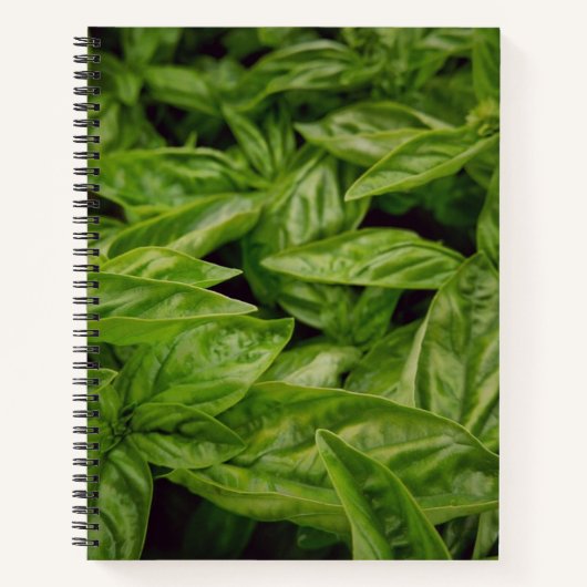 Cahier Basil (Devant)