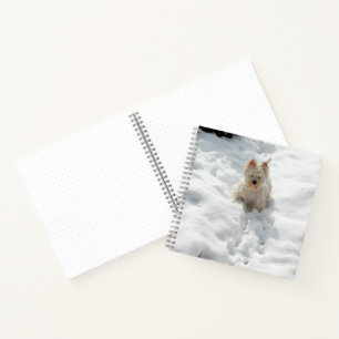 Cahier Bullet Journal 8x8 Chien Westie Mignon dans