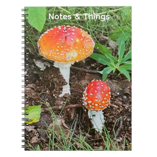 Cahier Champignons de Bois (Devant)