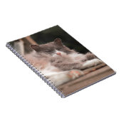 Cahier Chat Fluffy Endormi Cozy (Côté Droit)