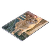 Cahier Chat Orange (Côté gauche)