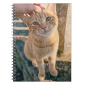Cahier Chat Orange (Devant)