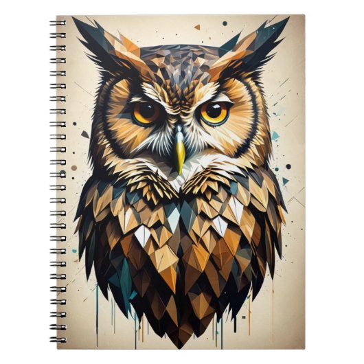 Cahier Chouette Rayée Géométrique Colorée (Devant)