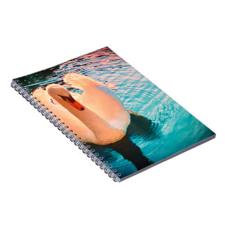 Cahier Cygne
