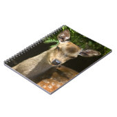 Cahier Daim (Côté gauche)