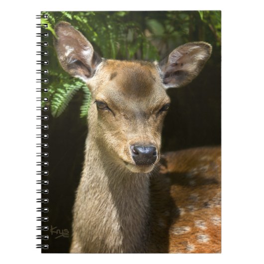 Cahier Daim (Devant)