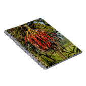 Cahier de champ de riz aux fruits de palmier de Ba (Côté Droit)