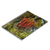 Cahier de champ de riz aux fruits de palmier de Ba (Côté gauche)