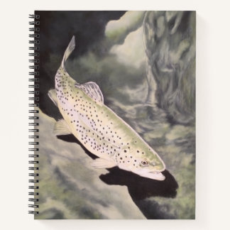 Cahier de croquis de truite