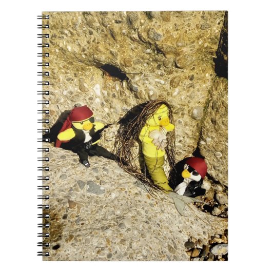 Cahier de Danni la Sirène (Devant)