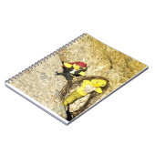 Cahier de Danni la Sirène (Côté gauche)