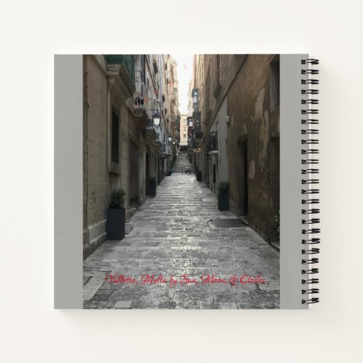 Cahier de devis - Atticus (Dos)