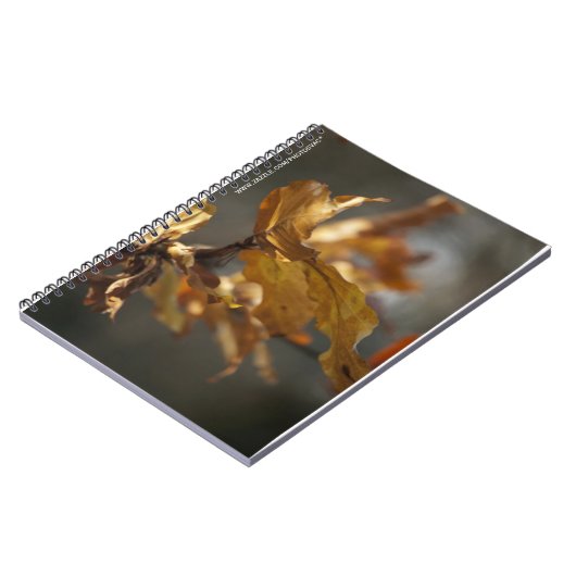 Cahier de feuilles d'automne (Côté gauche)