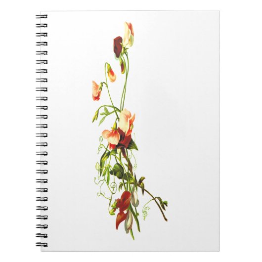 Cahier de fleurs du mois de naissance, floral pers (Devant)