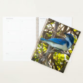 Cahier de notes d'art imprimé sur la faune de Geai (Devant avec enveloppe)