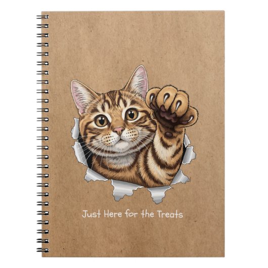 Cahier de notes photo spirale - Chat mignon (Devant)